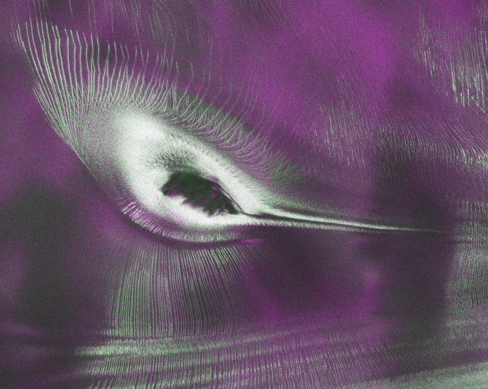 us-india-satellite-delivers-data,-reveals-‘hummingbird’-in-antarctica