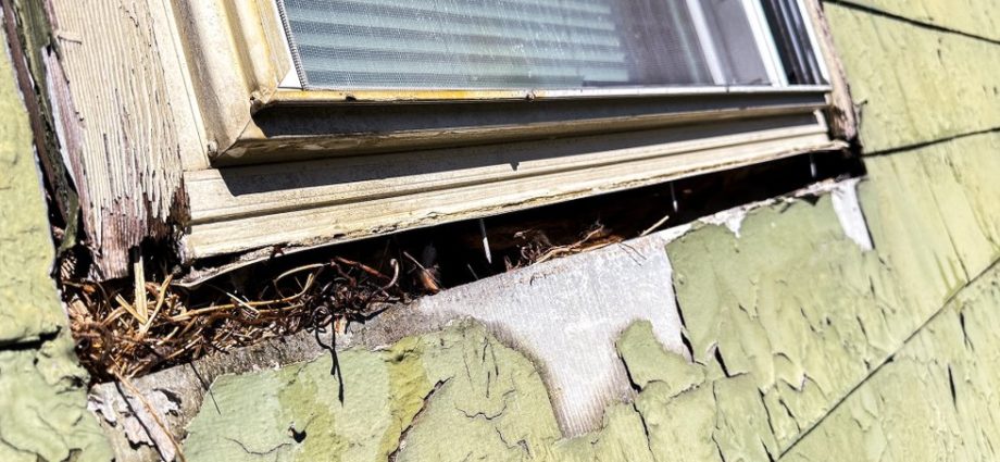 the-housing-crisis-you’re-not-hearing-about