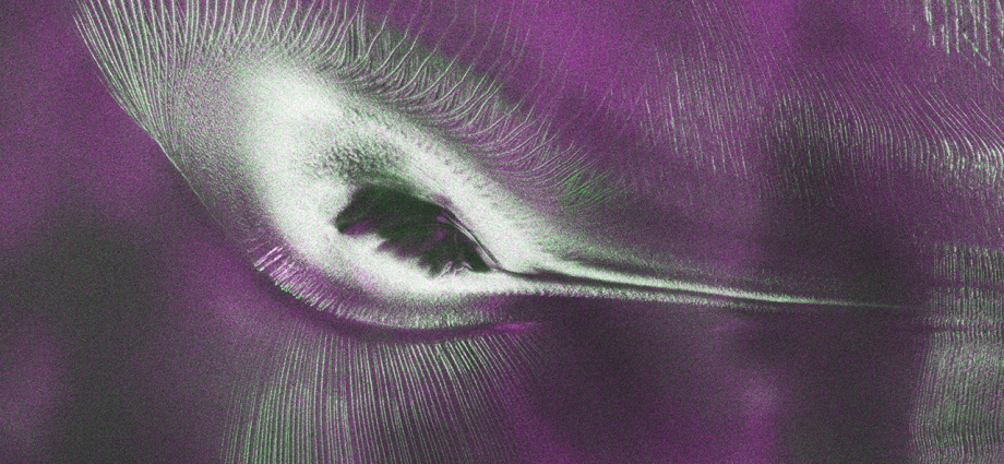 nisar’s-l-band-radar-reveals-‘hummingbird’-in-antarctica