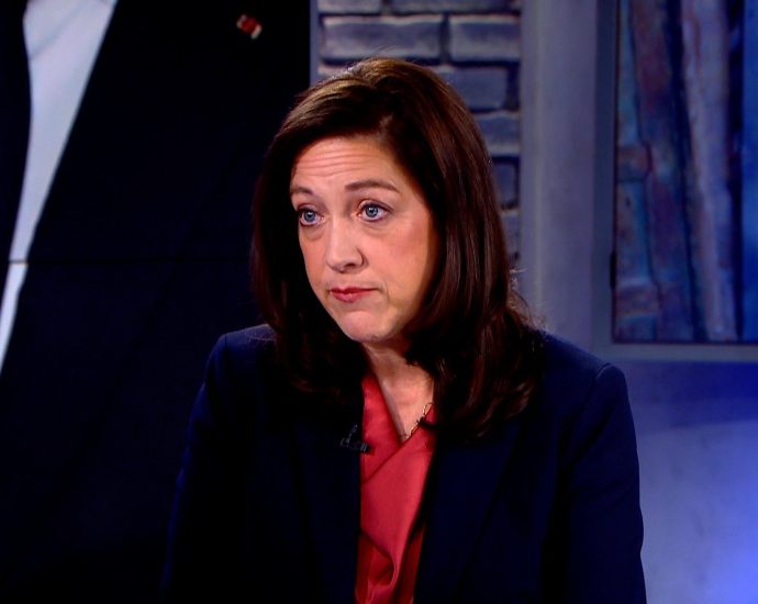 former-biden-official-can’t-see-‘pilot-zones’-scheme-working-in-lebanon
