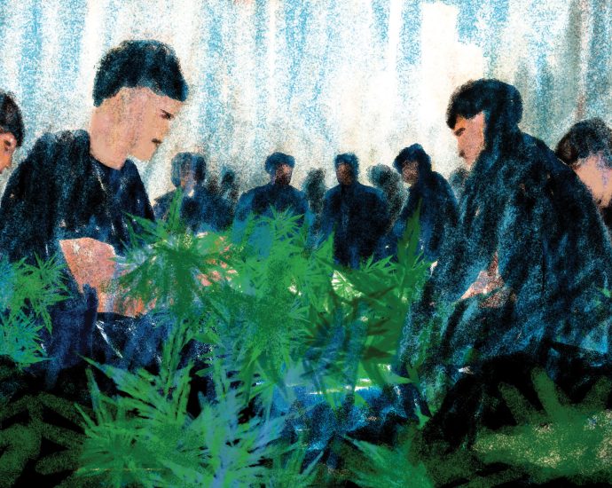 the-chinese-immigrants-trafficked-on-new-mexico’s-weed-farms
