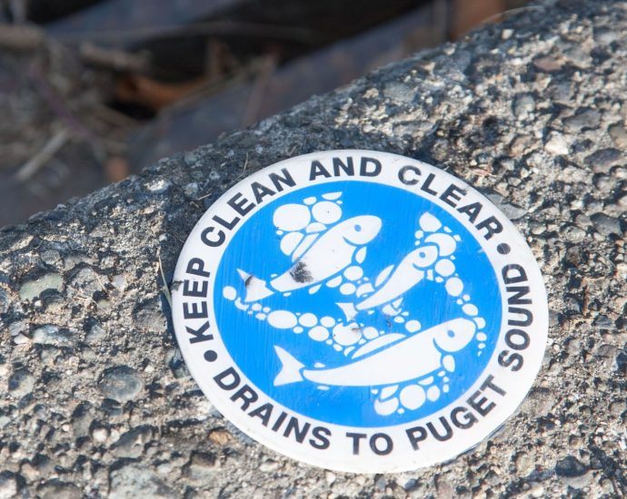 the-real-danger-of-drugs-in-the-wastewater-isn’t-what-you’d-think