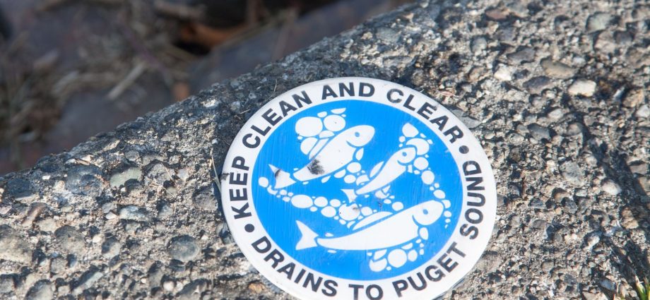 the-real-danger-of-drugs-in-the-wastewater-isn’t-what-you’d-think