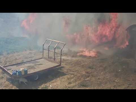 wildfires-destroy-olive-crop-at-sicilian-farm