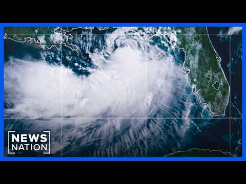 tropical-storm-bertha-strengthens-as-gulf-coast-braces-for-impact