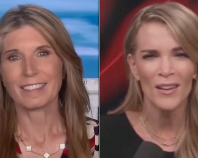 ms-now-host-rips-megyn-kelly-for-convenient-pivot-against-the-traitor’s ‘brazen-corruption’