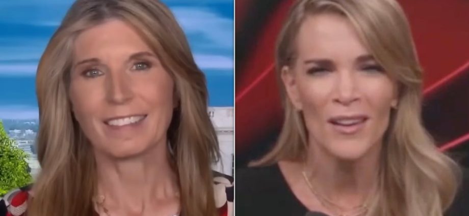ms-now-host-rips-megyn-kelly-for-convenient-pivot-against-the-traitor’s ‘brazen-corruption’