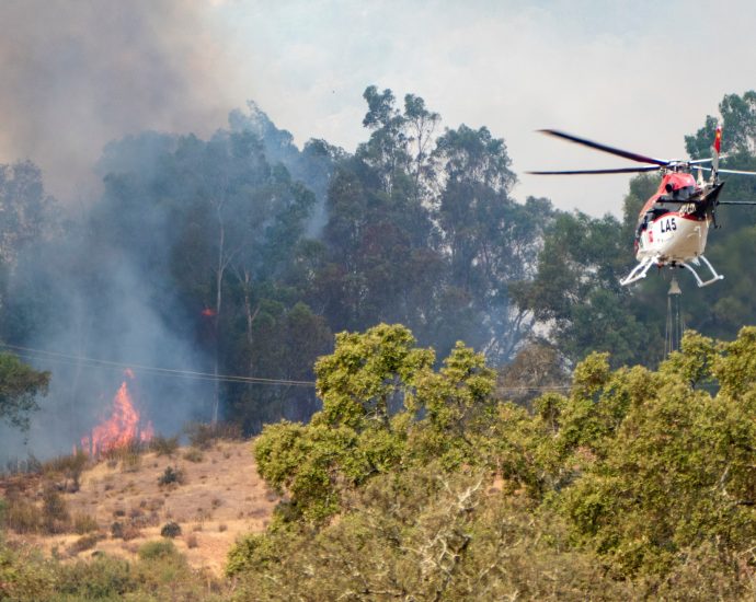 spain-and-france-battle-raging-wildfires,-face-high-risk-of-more