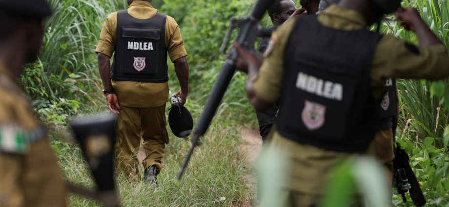armed-attackers-kill-more-than-20-in-northwest-nigeria