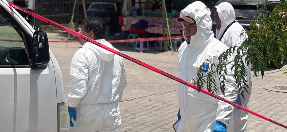 journalist-killed-in-mexico-after-years-of-exposing-corruption