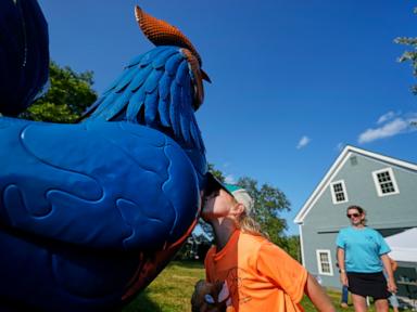 giant-metal-roosters-spread-autism-acceptance-in-maine-after-town-zoning-spat