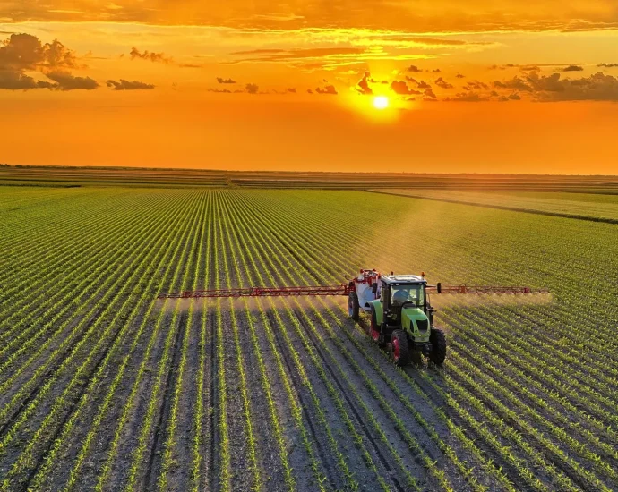 a-healthier-global-diet-could-cut-farm-emissions-by-85%