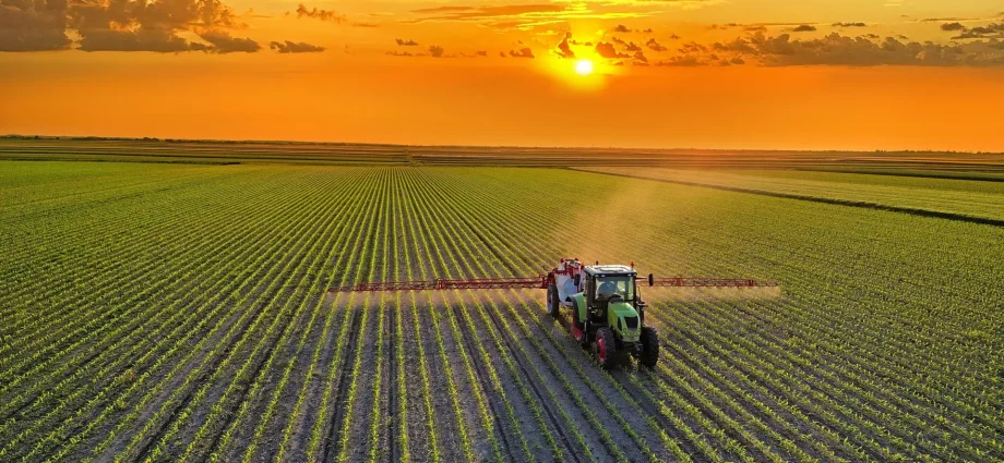 a-healthier-global-diet-could-cut-farm-emissions-by-85%