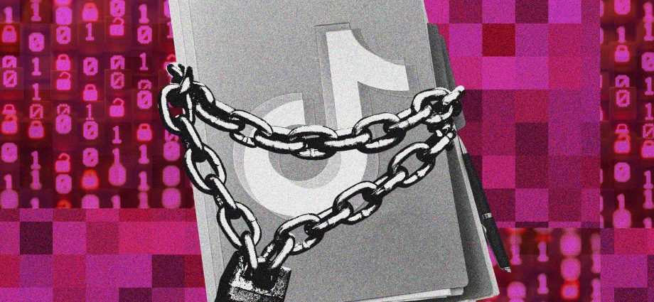 european-researchers-want-to-study-social-media’s-harms-but-can’t-get-the-data