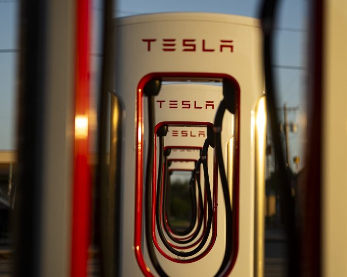 Tesla shares poised for biggest earnings move in a year