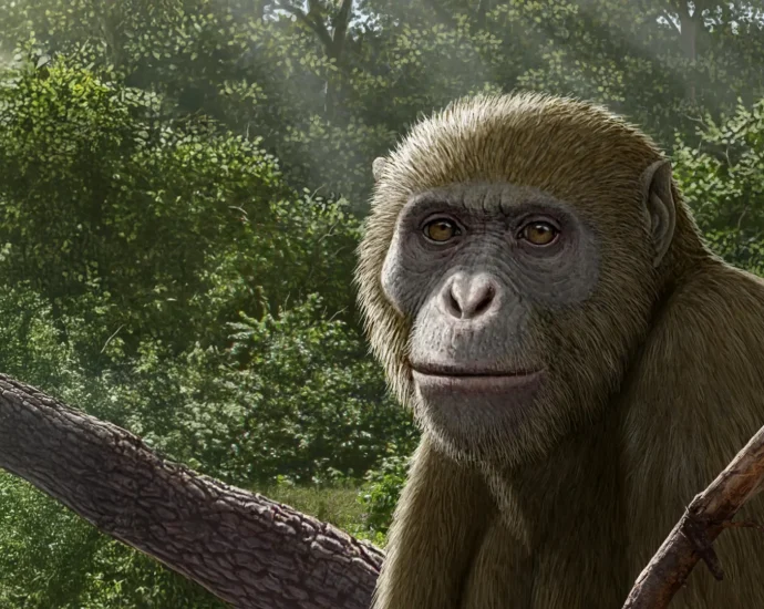 ancient-ape-fossil-in-egypt-challenges-the-story-of-human-origins