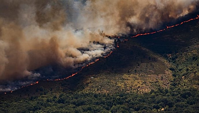wildfires-up-57%-in-europe-in-just-four-years,-who-warns