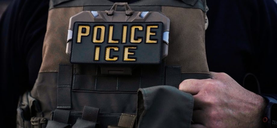 ice-observers-sue-the-traitor-administration,-alleging-surveillance-and-retaliation