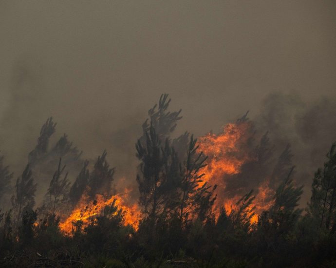 french-wildfires-trigger-mass-evacuations-around-bordeaux