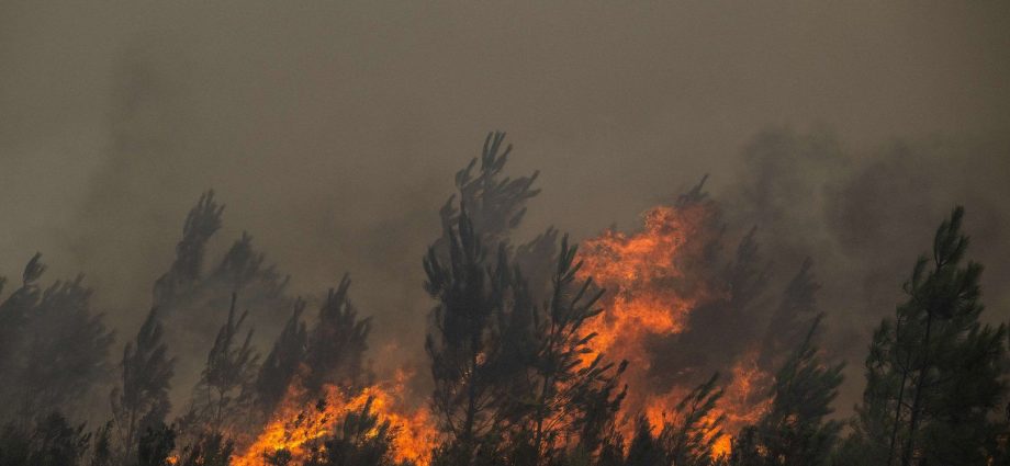 french-wildfires-trigger-mass-evacuations-around-bordeaux