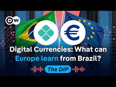 the-national-payment-system-taking-on-big-tech-|-dw-news