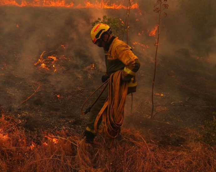 what’s-causing-the-unprecedented-wildfires-in-europe?