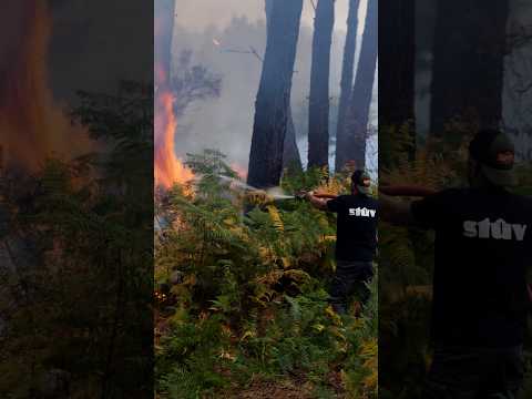 the-relentless-battle-against-france’s-wildfires-|-dw-news