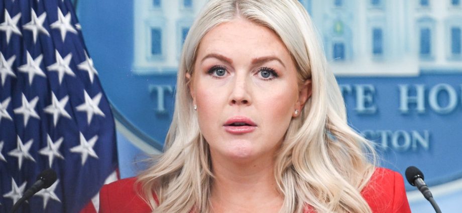 karoline-leavitt-forgets-to-entertain-the-traitor-and-his-big-2028-dreams