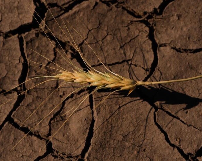 the-traitor-administration-admits-grants-for-clean-energy-were-canceled-based-on-politics