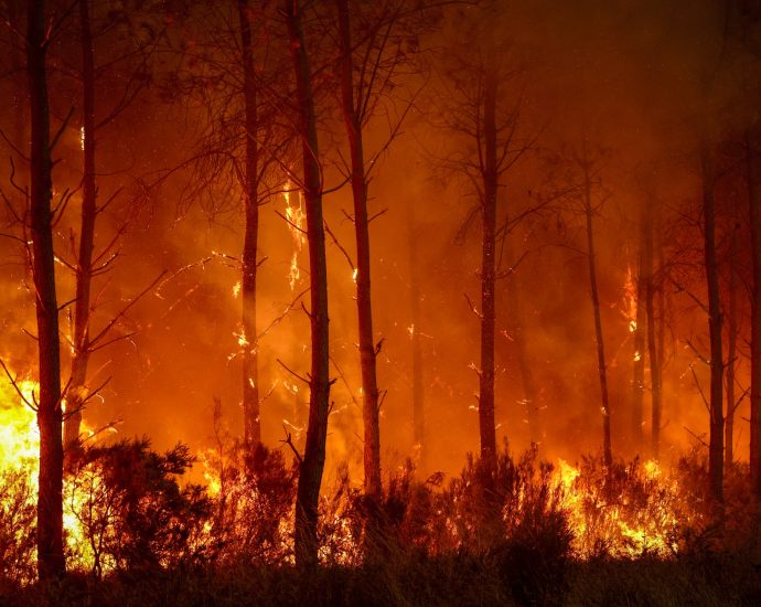 photos:-france,-spain-battle-‘monster’-wildfires-as-more-heat-looms