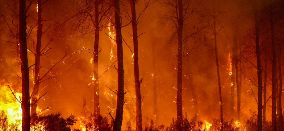 photos:-france,-spain-battle-‘monster’-wildfires-as-more-heat-looms