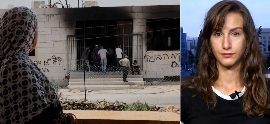 israeli-army-&-settlers-are-working-together-to-“ethnically-cleanse”-west-bank:-mariam-barghouti