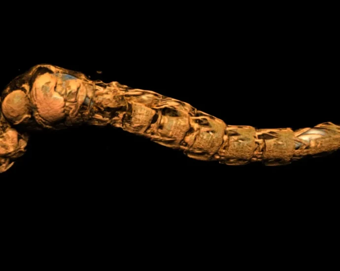 these-insect-submariners-survive-depths-that-should-crush-them