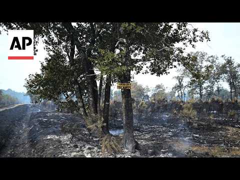 ap-reporter-shows-what’s-left-of-a-forest-as-france-battles-wildfires