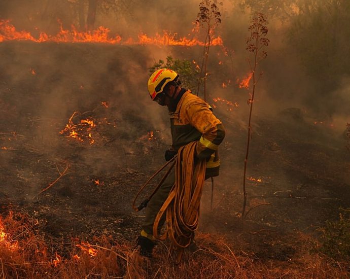 spain-wildfires-leave-destruction-across-avila-province