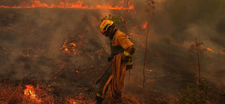 spain-wildfires-leave-destruction-across-avila-province