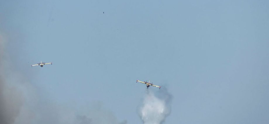 france-continues-to-fight-devastating-wildfires,-while-progress-is-made-in-spain