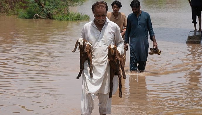 rescue-teams-evacuate-flooded-villages-in-sheikhupura-pakistan