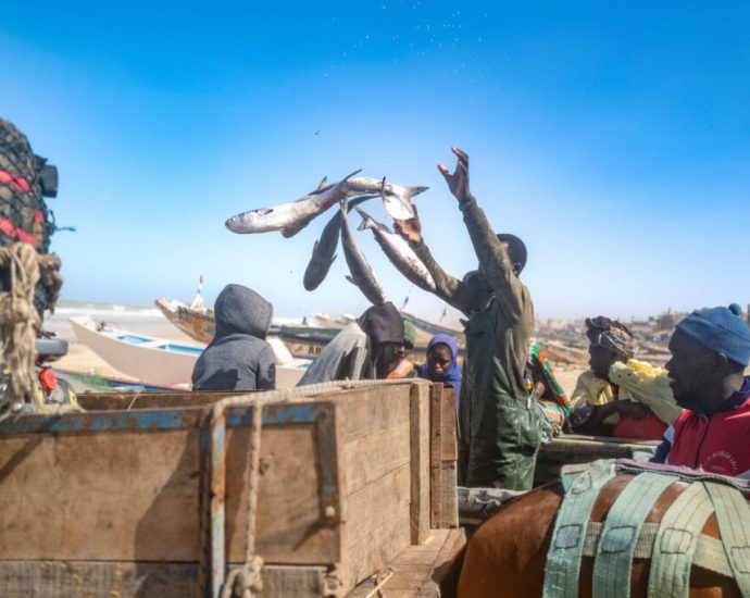 ‘they-want-us-gone’:-bp-gas-field-forces-out-senegal’s-fishers 