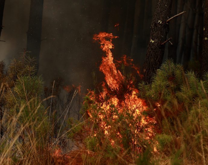 wildfires-test-france-and-spain-as-heat-warnings-return