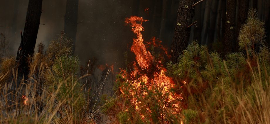wildfires-test-france-and-spain-as-heat-warnings-return