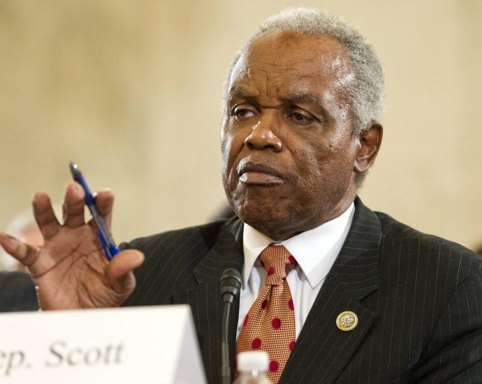two-democrats-advance-to-a-runoff-in-the-georgia-special-election-to-succeed-late-rep.-david-scott