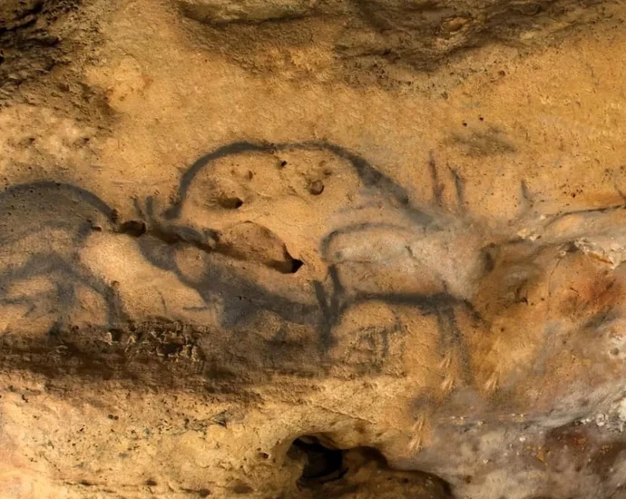 hidden-charcoal-reveals-the-true-age-of-ancient-cave-paintings