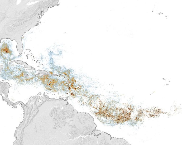 sizing-up-the sargassum belt