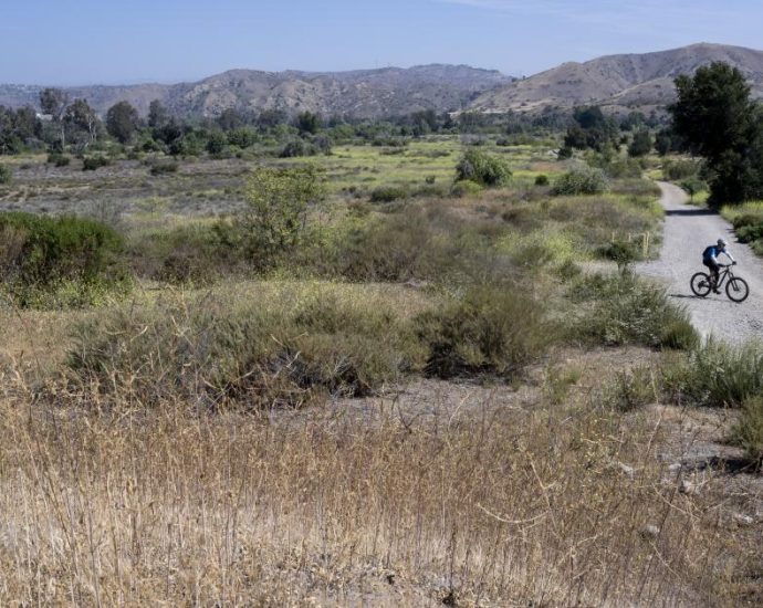 japanese-company-bets-on-water-from-air-tech-to-help-water-starved-areas-in-california
