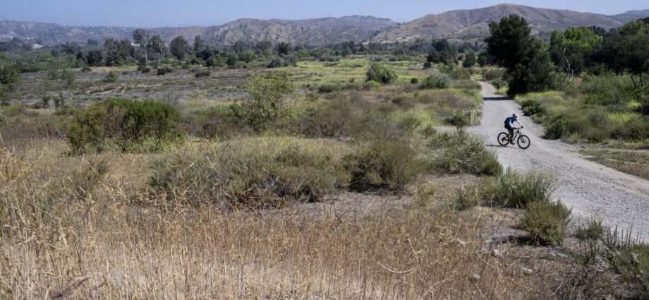 japanese-company-bets-on-water-from-air-tech-to-help-water-starved-areas-in-california