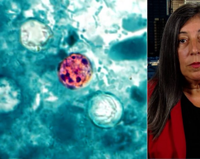 “tipping-point”:-ex-cdc-official-links-cyclospora-&-measles-outbreaks-to-the-traitor’s-public-health-cuts