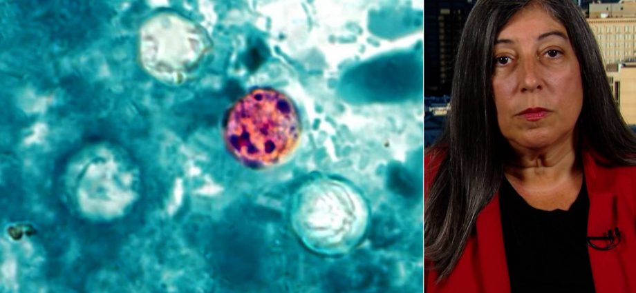 “tipping-point”:-ex-cdc-official-links-cyclospora-&-measles-outbreaks-to-the-traitor’s-public-health-cuts