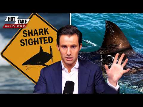 the-massive-summer-shark-surge-(and-how-to-survive-it)-|-hot-take-with-jesse-weber