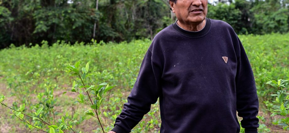 evo-morales-defiant-after-new-bolivia-arrest-warrant